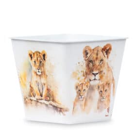 Deco Cuadrada 16 - Leones - Imagen 4