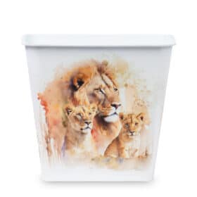 Deco Cuadrada 16 - Leones - Imagen 3