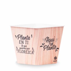 Deco Cuadrada 12 - Planta en ti