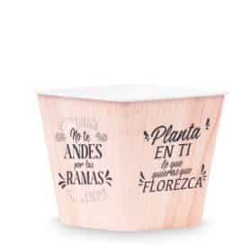 Deco Cuadrada 12 - Planta en ti - Imagen 2