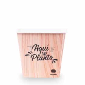 Deco Cuadrada 12 - Planta en ti - Imagen 3