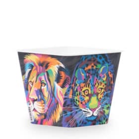 Deco Cuadrada 12 - Felinos