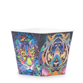 Deco Cuadrada 12 - Felinos - Imagen 3