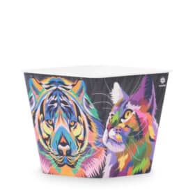 Deco Cuadrada 12 - Felinos - Imagen 2