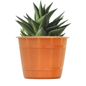 Maceta Facetado 10 - Colores Clasicos - Imagen 2