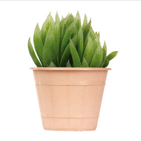 Maceta Facetado 15 - Línea Woods - Imagen 2