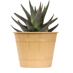 Maceta Facetado 18 - Línea Woods - Imagen 2