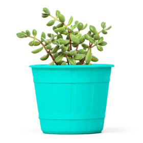 Maceta Facetado 10 - Colores Pasteles - Imagen 2