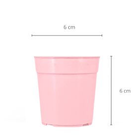 Maceta Clásica 6 - Colores Pasteles - Imagen 4