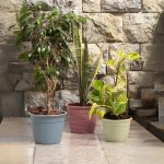 Maceta Simil 28 - Línea Woods - Imagen 6