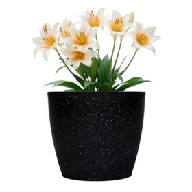 Maceta Nórdica 22 - Negro Enlozado - Imagen 2