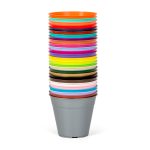 Maceta Clásica 6 - Colores Fuertes - Imagen 6