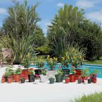 Maceta Clásica 6-Colores Clasicos - Imagen 9