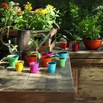 Maceta Clásica 6 - Colores Fuertes - Imagen 8