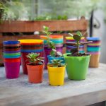 Maceta Clásica 6 - Colores Fuertes - Imagen 7