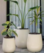 Macetas Uovo Autorriego - Combo 3 tamaños Marfil - Imagen 3