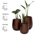 Macetas Uovo Autorriego - Combo 3 tamaños Marrón - Imagen 2