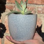 Maceta Nórdica Enlozada Premium Set x4 N12 17 19 Y 22 - Imagen 5