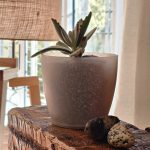 Maceta Nórdica Enlozada Premium Set x4 N12 17 19 Y 22 - Imagen 4