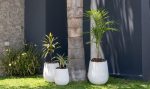 Macetas Uovo Autorriego - Combo 3 tamaños Blanco - Imagen 5