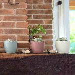 Maceta Nórdica Enlozada Premium Set x4 N12 17 19 Y 22 - Imagen 4