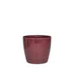 Maceta Riga 13 - Borravino