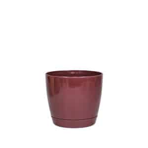 Maceta Riga 13 - Borravino