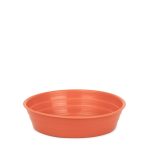 Plato 12 - Colores Clasicos