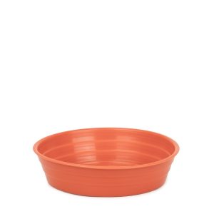 Plato 12 - Colores Clasicos