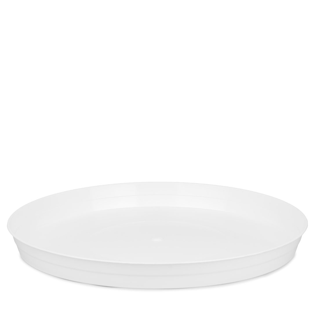 Plato 38 - Blanco 1 Plato 38 - Colores Clasicos - Imagen 1
