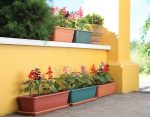 Plato Jardinera 35 - Colores clasicos - Imagen 3