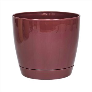 Maceta Riga 29 - Borravino